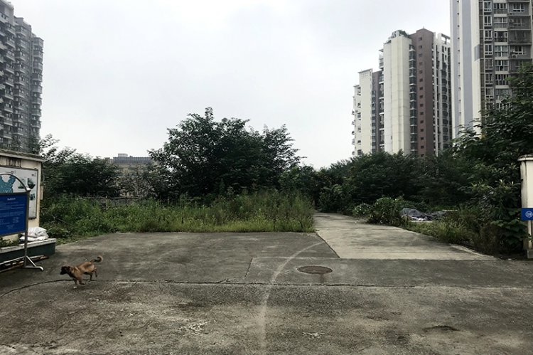 航飛三維、地理信息處理